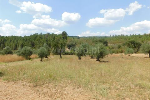 Helårsgrund i Covilha, Castelo Branco, Covilha - € 36.500 | Ref: 111190338 - foto 5