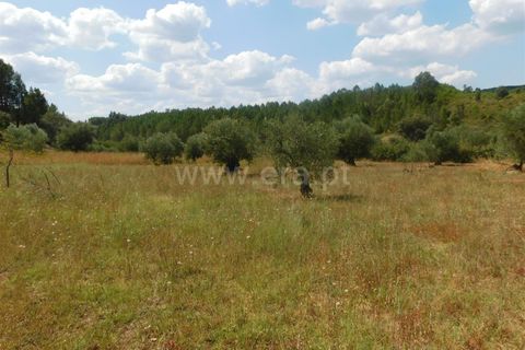 Helårsgrund i Covilha, Castelo Branco, Covilha - € 36.500 | Ref: 111190338 - foto 6