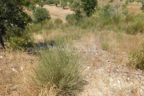 Helårsgrund i Covilha, Castelo Branco, Covilha - € 36.500 | Ref: 111190338 - foto 7