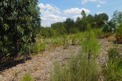 Helårsgrund i Covilha, Castelo Branco, Covilha - € 36.500 | Ref: 111190338 - foto 9