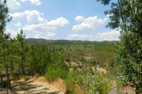 Helårsgrund i Covilha, Castelo Branco, Covilha - € 36.500 | Ref: 111190338 - foto 10