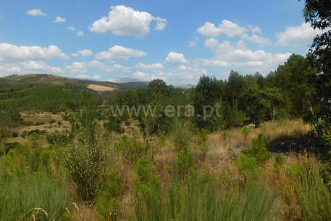 Helårsgrund i Covilha, Castelo Branco, Covilha - € 36.500 | Ref: 111190338 - foto 11