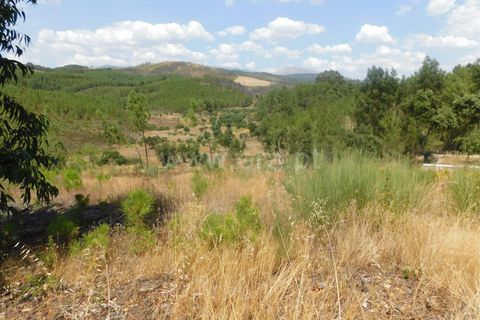 Helårsgrund i Covilha, Castelo Branco, Covilha - € 36.500 | Ref: 111190338 - foto 12