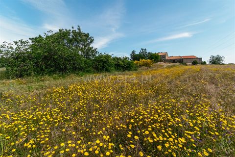 Erhvervsejendom i Belmonte, Castelo Branco, Belmonte - € 96.500 | Ref: 111190173 - foto 5