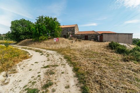 Erhvervsejendom i Belmonte, Castelo Branco, Belmonte - € 96.500 | Ref: 111190173 - foto 7