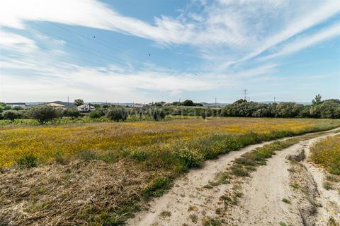 Erhvervsejendom i Belmonte, Castelo Branco, Belmonte - € 96.500 | Ref: 111190173 - foto 8