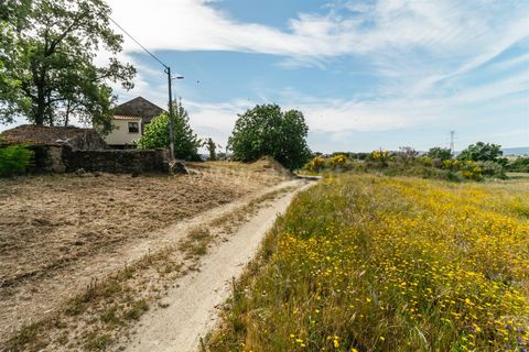 Erhvervsejendom i Belmonte, Castelo Branco, Belmonte - € 96.500 | Ref: 111190173 - foto 10
