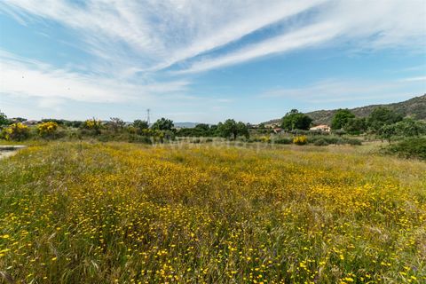 Erhvervsejendom i Belmonte, Castelo Branco, Belmonte - € 96.500 | Ref: 111190173 - foto 11