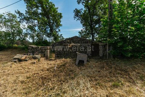 Erhvervsejendom i Belmonte, Castelo Branco, Belmonte - € 96.500 | Ref: 111190173 - foto 12