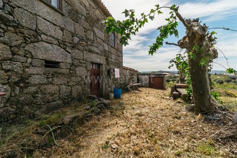 Erhvervsejendom i Belmonte, Castelo Branco, Belmonte - € 96.500 | Ref: 111190173 - foto 14