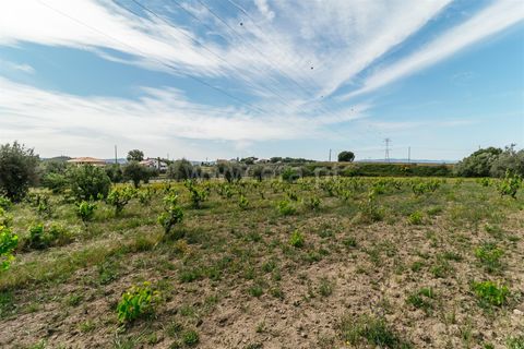 Erhvervsejendom i Belmonte, Castelo Branco, Belmonte - € 96.500 | Ref: 111190173 - foto 16