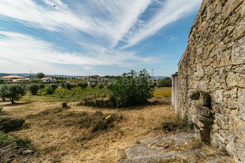 Erhvervsejendom i Belmonte, Castelo Branco, Belmonte - € 96.500 | Ref: 111190173 - foto 17