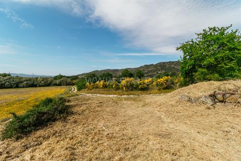 Erhvervsejendom i Belmonte, Castelo Branco, Belmonte - € 96.500 | Ref: 111190173 - foto 18