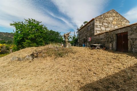 Erhvervsejendom i Belmonte, Castelo Branco, Belmonte - € 96.500 | Ref: 111190173 - foto 19