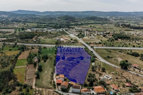 Erhvervsejendom i Belmonte, Castelo Branco, Belmonte - € 96.500 | Ref: 111190173 - foto 20