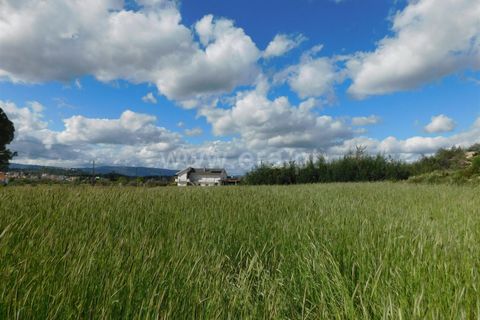 Helårsgrund i Belmonte, Castelo Branco, Belmonte - € 55.000 | Ref: 111220132 - foto 10