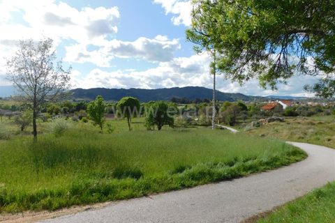 Helårsgrund i Belmonte, Castelo Branco, Belmonte - € 55.000 | Ref: 111220132 - foto 13