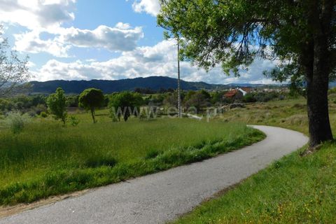 Helårsgrund i Belmonte, Castelo Branco, Belmonte - € 55.000 | Ref: 111220132 - foto 14