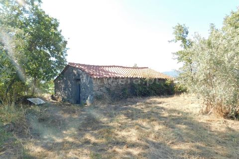 Farm i Covilha, Castelo Branco, Covilha - € 65.000 | Ref: 111220180 - foto 2