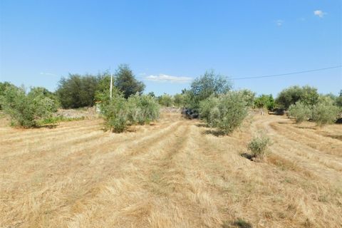 Farm i Covilha, Castelo Branco, Covilha - € 65.000 | Ref: 111220180 - foto 3