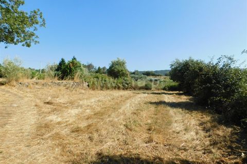 Farm i Covilha, Castelo Branco, Covilha - € 65.000 | Ref: 111220180 - foto 4