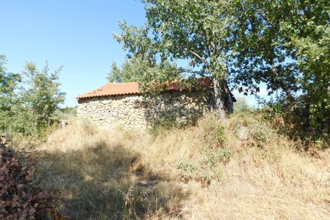 Farm i Covilha, Castelo Branco, Covilha - € 65.000 | Ref: 111220180 - foto 5