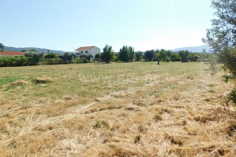 Farm i Covilha, Castelo Branco, Covilha - € 65.000 | Ref: 111220180 - foto 6