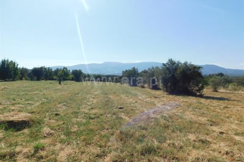 Farm i Covilha, Castelo Branco, Covilha - € 65.000 | Ref: 111220180 - foto 7