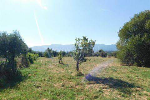 Farm i Covilha, Castelo Branco, Covilha - € 65.000 | Ref: 111220180 - foto 9