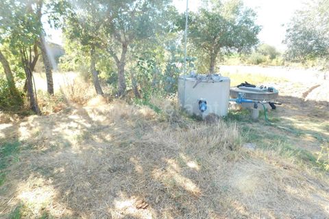 Farm i Covilha, Castelo Branco, Covilha - € 65.000 | Ref: 111220180 - foto 10