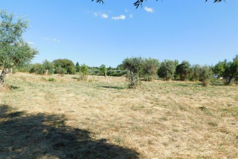 Farm i Covilha, Castelo Branco, Covilha - € 65.000 | Ref: 111220180 - foto 11