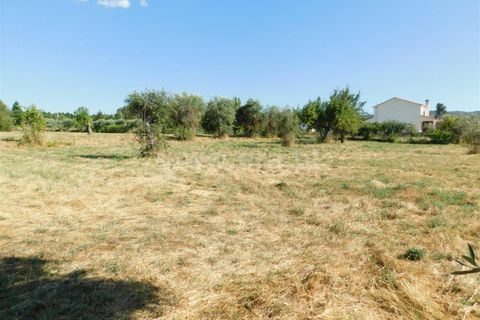 Farm i Covilha, Castelo Branco, Covilha - € 65.000 | Ref: 111220180 - foto 12