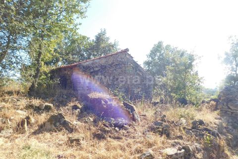 Farm i Covilha, Castelo Branco, Covilha - € 65.000 | Ref: 111220180 - foto 13