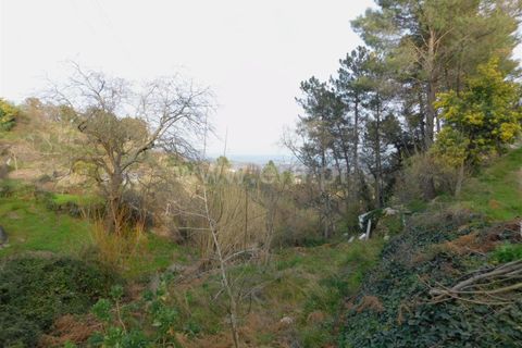 Helårsgrund i Covilha, Castelo Branco, Covilha - € 20.000 | Ref: 111190010 - foto 2