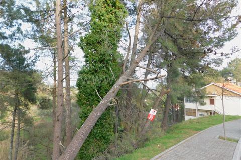 Helårsgrund i Covilha, Castelo Branco, Covilha - € 20.000 | Ref: 111190010 - foto 3