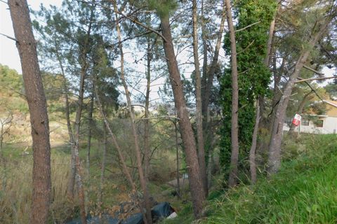 Helårsgrund i Covilha, Castelo Branco, Covilha - € 20.000 | Ref: 111190010 - foto 4