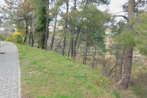 Helårsgrund i Covilha, Castelo Branco, Covilha - € 20.000 | Ref: 111190011 - foto 3