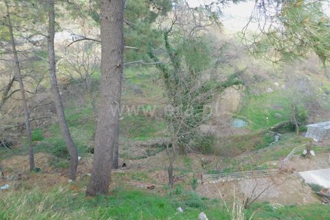 Helårsgrund i Covilha, Castelo Branco, Covilha - € 20.000 | Ref: 111190011 - foto 5