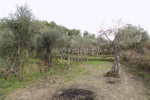 Landejendom i Covilha, Castelo Branco, Covilha - € 40.000 | Ref: 111210038 - foto 10