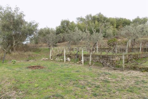 Landejendom i Covilha, Castelo Branco, Covilha - € 40.000 | Ref: 111210038 - foto 11