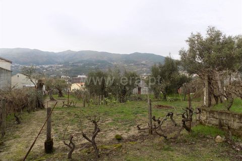 Landejendom i Covilha, Castelo Branco, Covilha - € 40.000 | Ref: 111210038 - foto 12