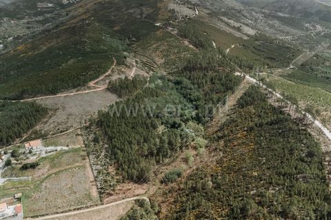 Helårsgrund i Covilha, Castelo Branco, Covilha - € 38.000 | Ref: 111230009 - foto 2