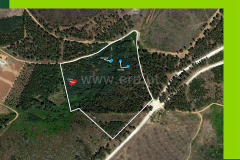 Helårsgrund i Covilha, Castelo Branco, Covilha - € 38.000 | Ref: 111230009 - foto 5