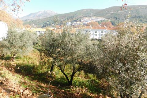 Helårsgrund i Covilha, Castelo Branco, Covilha - € 57.500 | Ref: 111230336 - foto 3