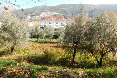 Helårsgrund i Covilha, Castelo Branco, Covilha - € 57.500 | Ref: 111230336 - foto 4