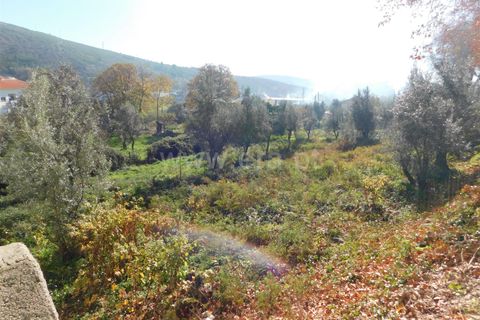 Helårsgrund i Covilha, Castelo Branco, Covilha - € 57.500 | Ref: 111230336 - foto 1