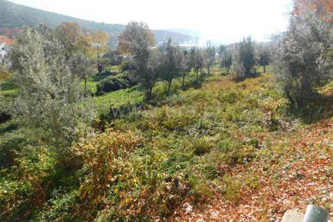 Helårsgrund i Covilha, Castelo Branco, Covilha - € 57.500 | Ref: 111230336 - foto 5