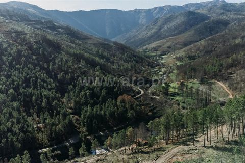 Villa i Covilha, Castelo Branco, Covilha - € 110.000 | Ref: 111230180 - foto 32