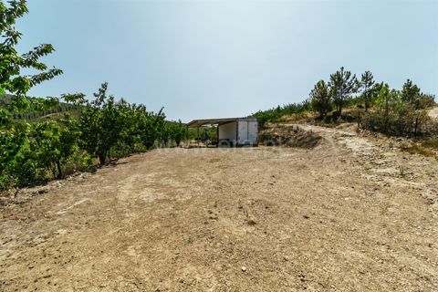 Helårsgrund i Fundao, Castelo Branco, Fundao - € 350.000 | Ref: 111230132 - foto 4