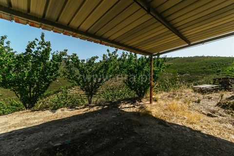 Helårsgrund i Fundao, Castelo Branco, Fundao - € 350.000 | Ref: 111230132 - foto 6